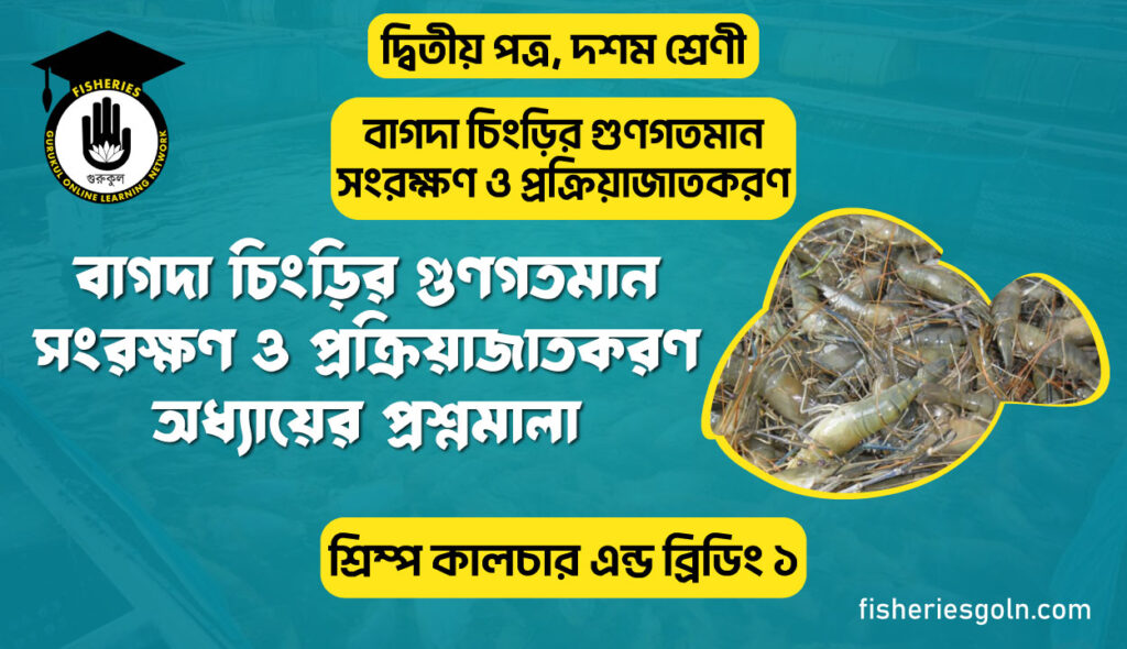 বাগদা চিংড়ির গুণগতমান সংরক্ষণ ও প্রক্রিয়াজাতকরণ অধ্যায়ের প্রশ্নমালা | অধ্যায়-২ | শ্রিম্প কালচার এন্ড ব্রিডিং ১