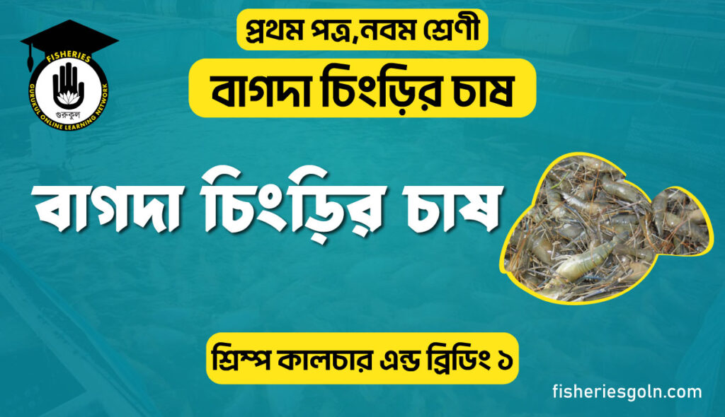 বাগদা চিংড়ির চাষ। ৩য় অধ্যায় । শ্রিম্প কালচার এন্ড ব্রিডিং ১