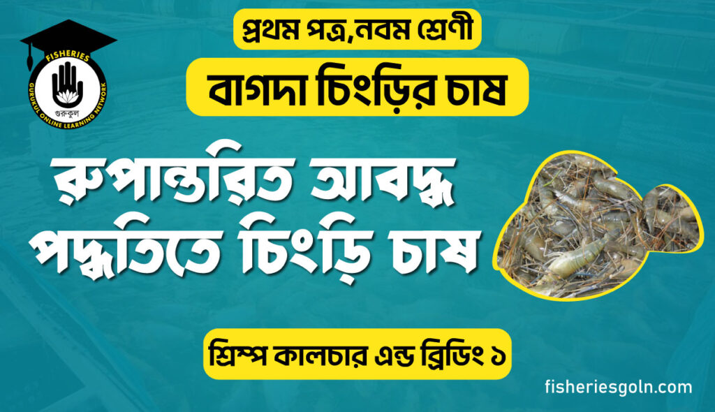 রুপান্তরিত আবদ্ধ পদ্ধতিতে চিংড়ি চাষ । ৩য় অধ্যায় । শ্রিম্প কালচার এন্ড ব্রিডিং ১