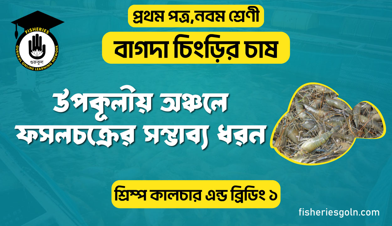উপকূলীয় অঞ্চলে ফসলচক্রের সম্ভাব্য ধরন। ৩য় অধ্যায় । শ্রিম্প কালচার এন্ড ব্রিডিং ১