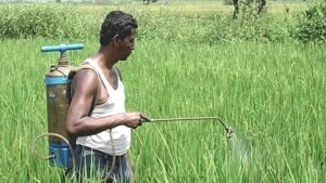 ঔষধ ছিটানোর পাত্র