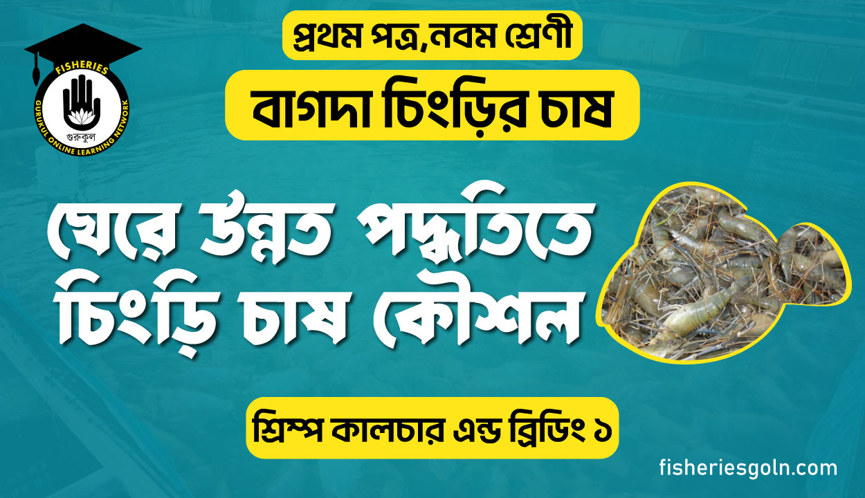 ঘেরে উন্নত পদ্ধতিতে চিংড়ি চাষ কৌশল । ৩য় অধ্যায় । শ্রিম্প কালচার এন্ড ব্রিডিং ১