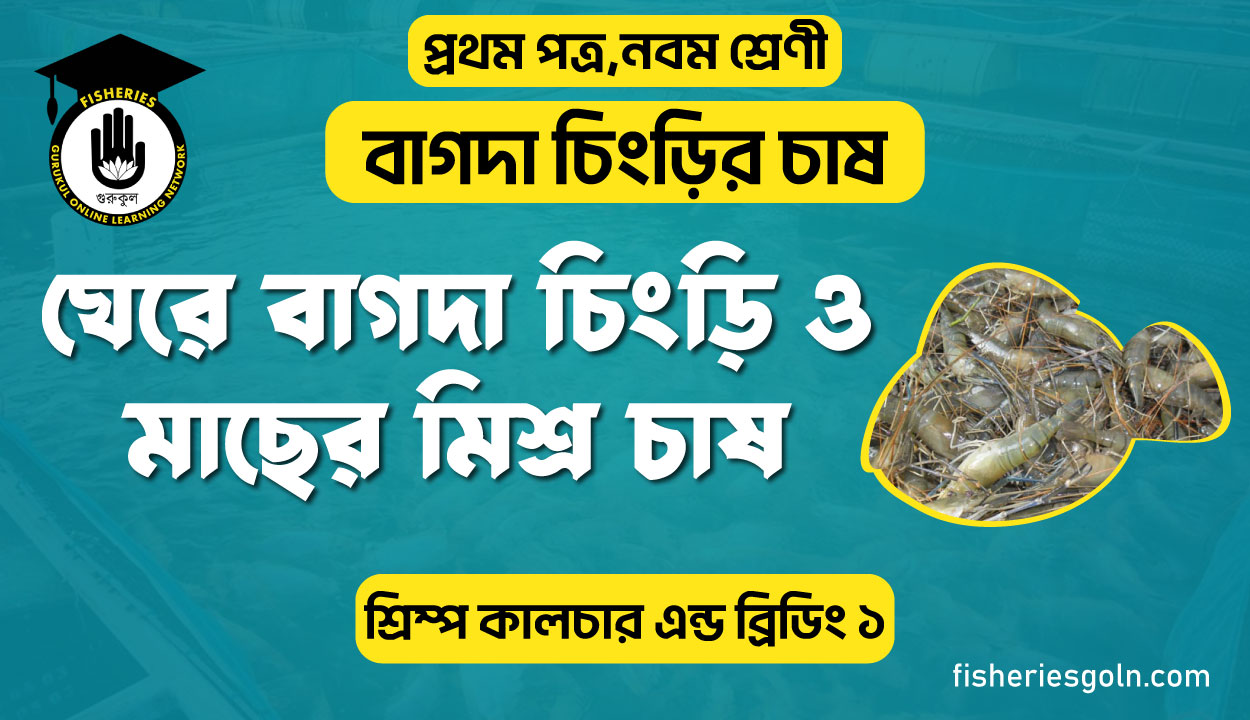 ঘেরে বাগদা চিংড়ি ও মাছের মিশ্র চাষ। ৩য় অধ্যায় । শ্রিম্প কালচার এন্ড ব্রিডিং ১
