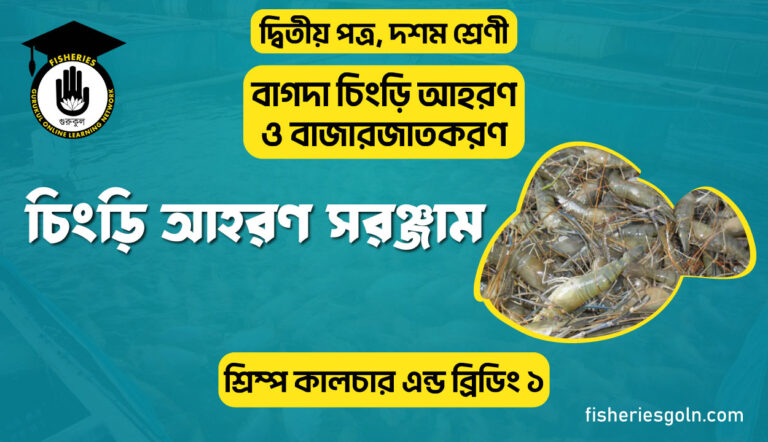 চিংড়ি আহরণ সরঞ্জাম | অধ্যায়-১ | শ্রিম্প কালচার এন্ড ব্রিডিং ১