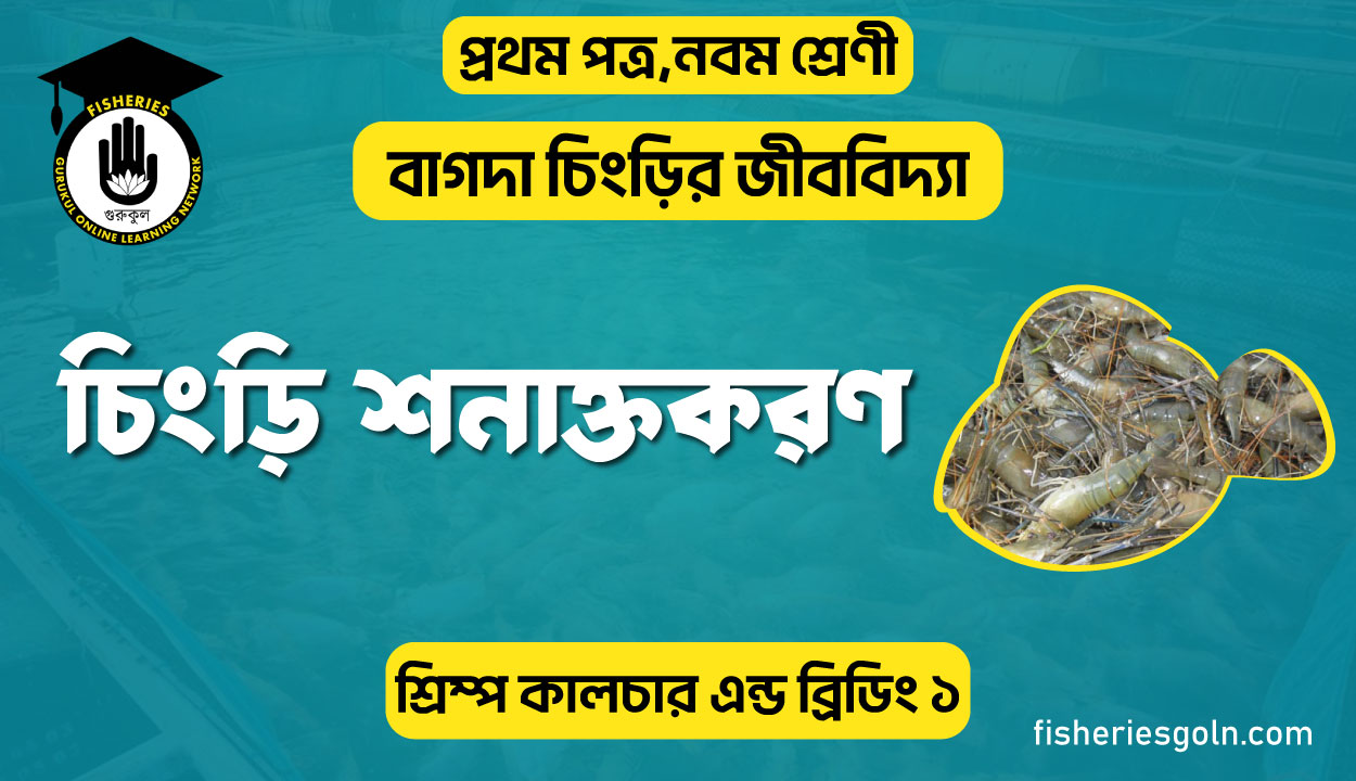 চিংড়ি শনাক্তকরণ । ২য় অধ্যায় । শ্রিম্প কালচার এন্ড ব্রিডিং ১