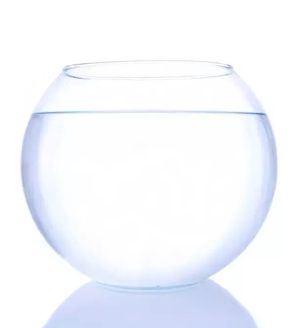 পাত্র বা এক্যুরিয়াম