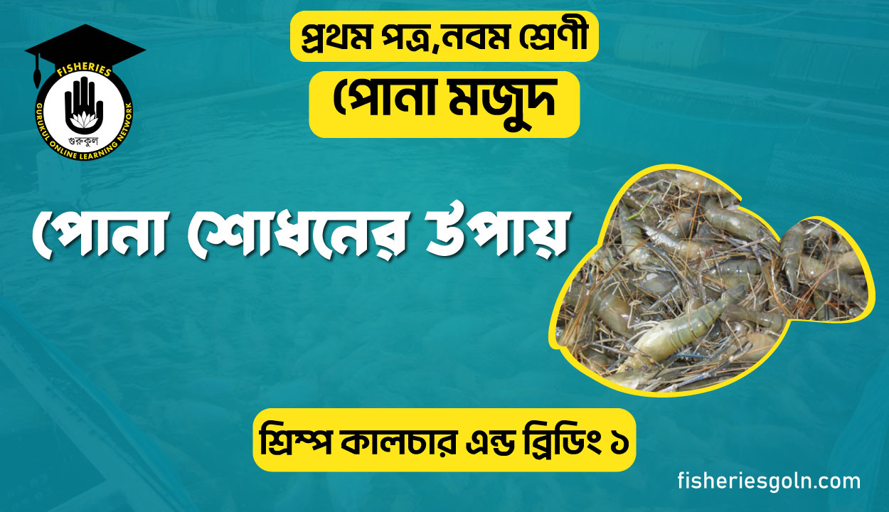 পোনা শোধনের উপায় । ৭ম অধ্যায় । শ্রিম্প কালচার এন্ড ব্রিডিং ১