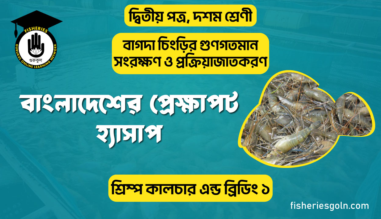 বাংলাদেশের প্রেক্ষাপট হ্যাসাপ | অধ্যায়-২ | শ্রিম্প কালচার এন্ড ব্রিডিং ১