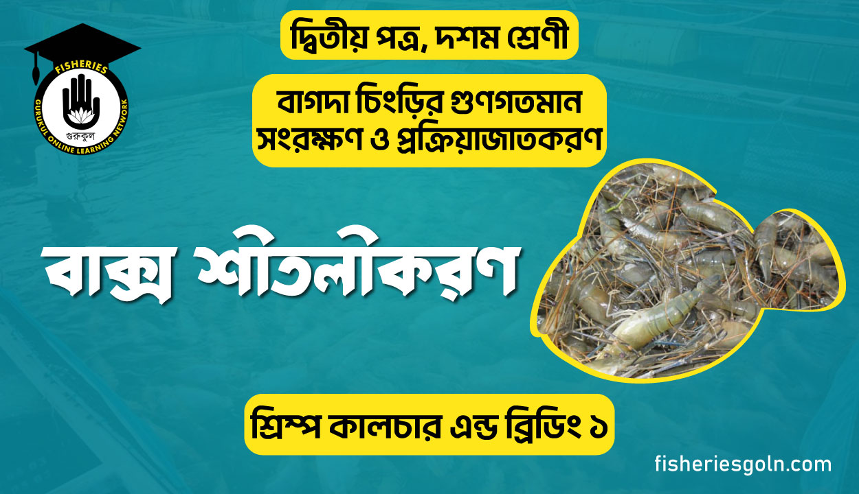 বাক্স শীতলীকরণ | অধ্যায়-২ | শ্রিম্প কালচার এন্ড ব্রিডিং ১