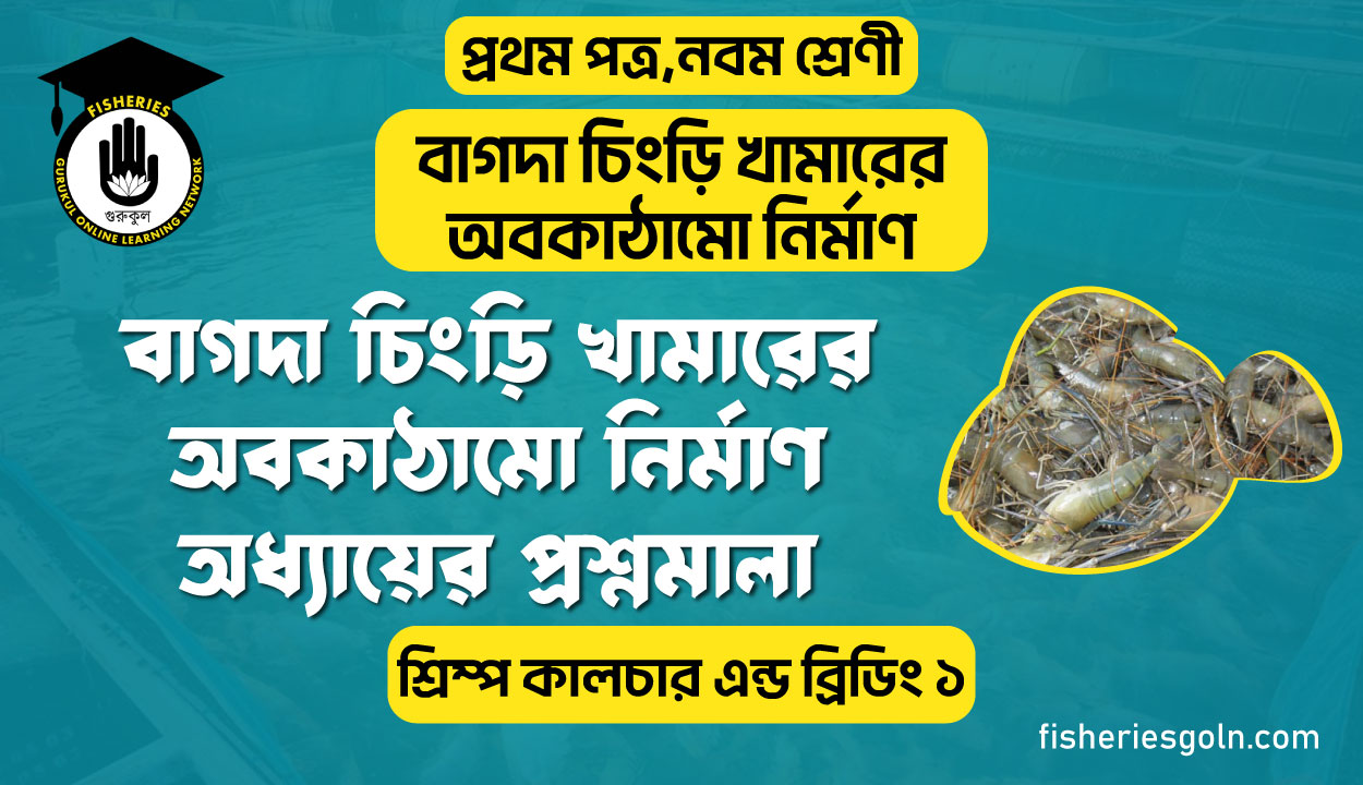বাগদা চিংড়ি খামারের অবকাঠামো নির্মাণ অধ্যায়ের প্রশ্নমালা। ৪র্থ অধ্যায় । শ্রিম্প কালচার এন্ড ব্রিডিং ১