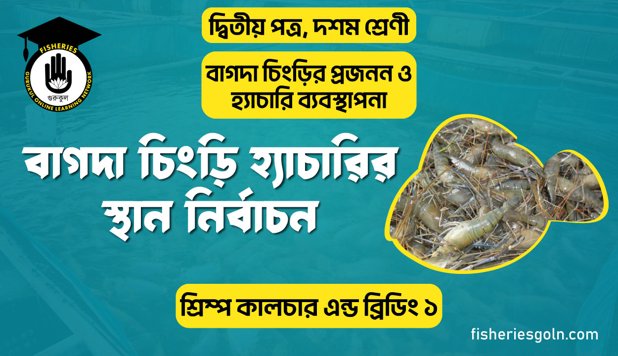 বাগদা চিংড়ি হ্যাচারির স্থান নির্বাচন | অধ্যায়-৩ | শ্রিম্প কালচার এন্ড ব্রিডিং ১