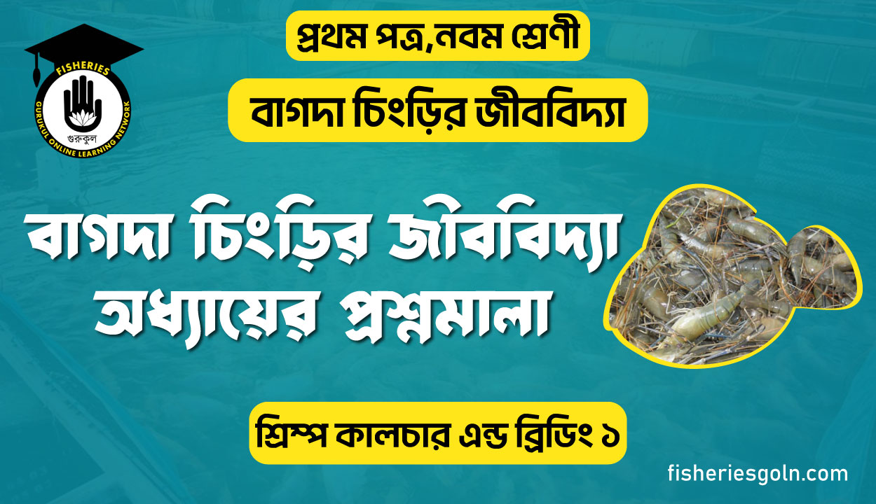 বাগদা চিংড়ির জীববিদ্যা অধ্যায়ের প্রশ্নমালা । ২য় অধ্যায় । শ্রিম্প কালচার এন্ড ব্রিডিং ১