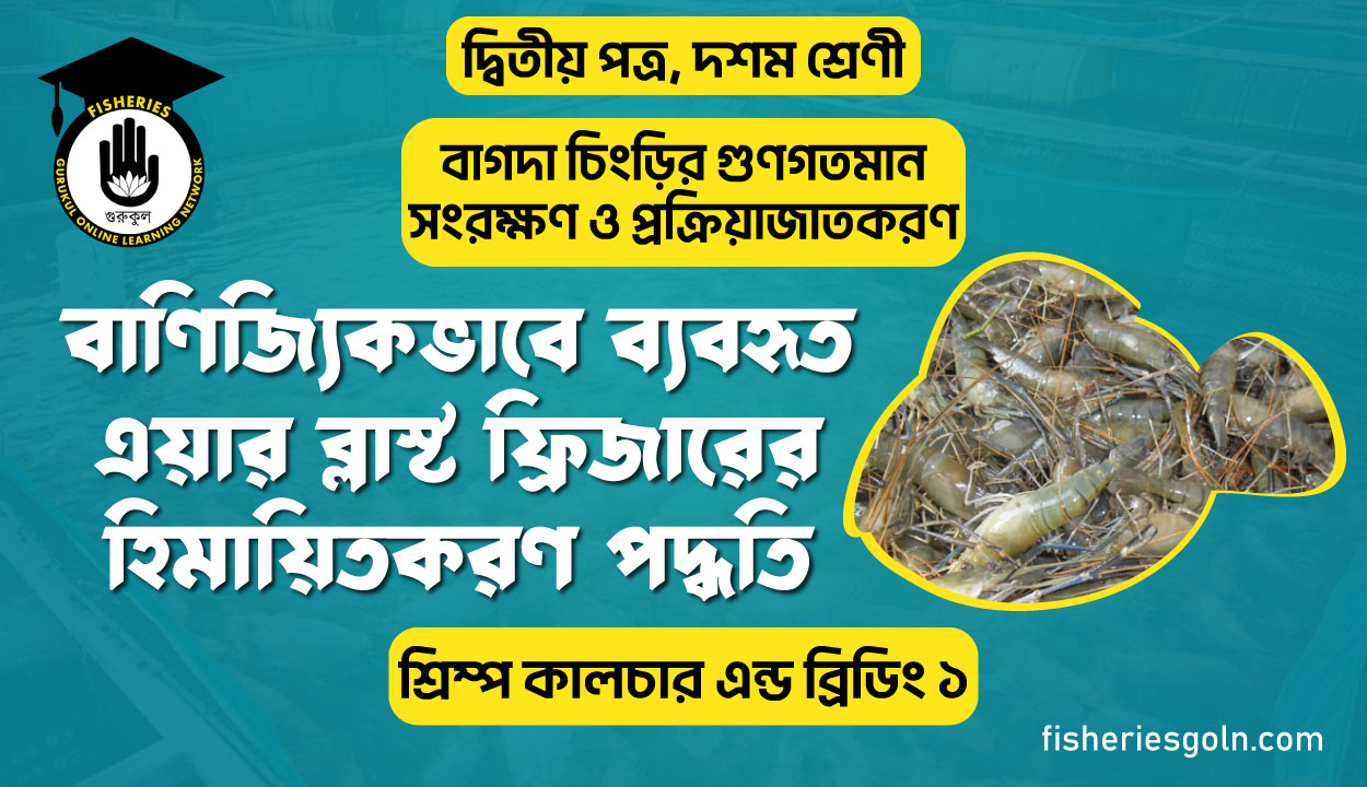 বাণিজ্যিকভাবে ব্যবহৃত এয়ার ব্লাস্ট ফ্রিজারের হিমায়িতকরণ পদ্ধতি | অধ্যায়-২ | শ্রিম্প কালচার এন্ড ব্রিডিং ১
