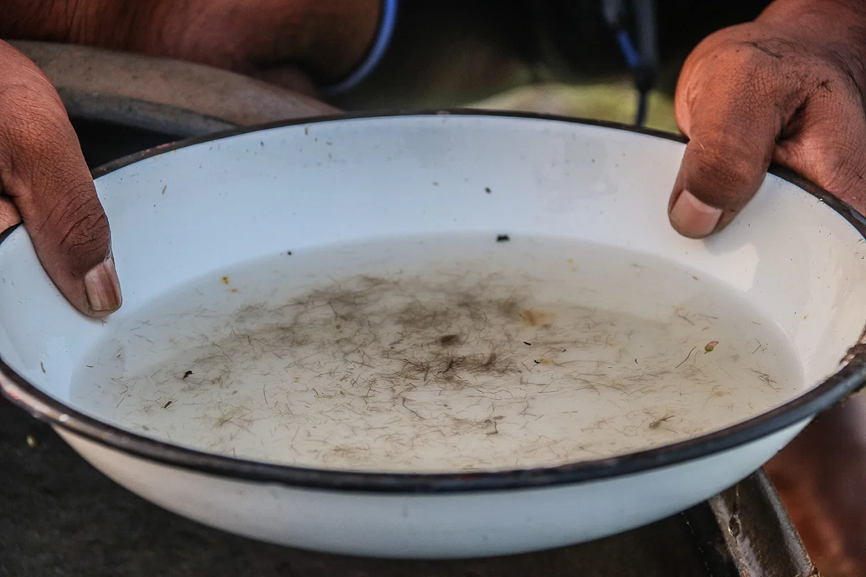 চিংড়ি চাষে পানির প্রয়োজনীয়তা | অধ্যায়-৮ | শ্রিম্প কালচার এন্ড ব্রিডিং-২