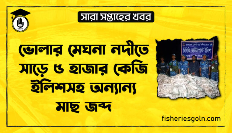 ভোলার মেঘনা নদীতে সাড়ে ৫ হাজার কেজি ইলিশসহ অন্যান্য মাছ জব্দ