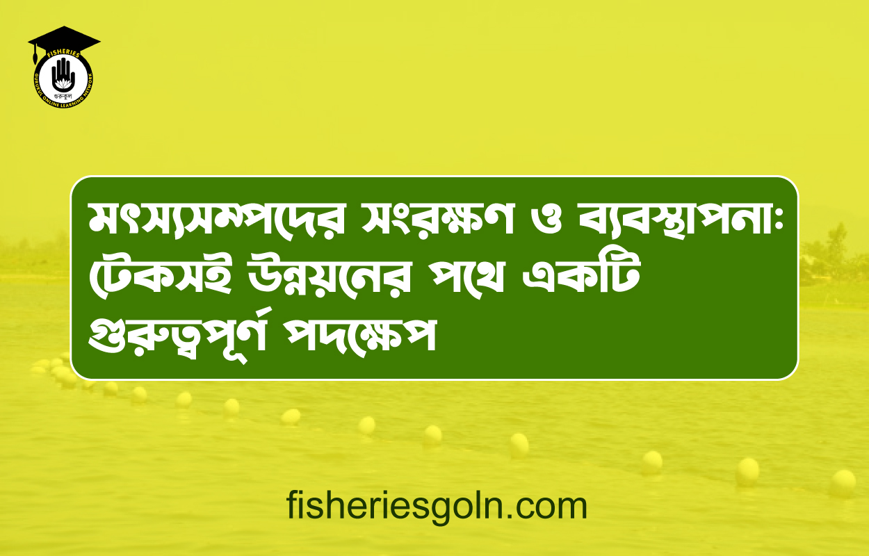 মৎস্যসম্পদের সংরক্ষণ ও ব্যবস্থাপনা: টেকসই উন্নয়নের পথে একটি গুরুত্বপূর্ণ পদক্ষেপ